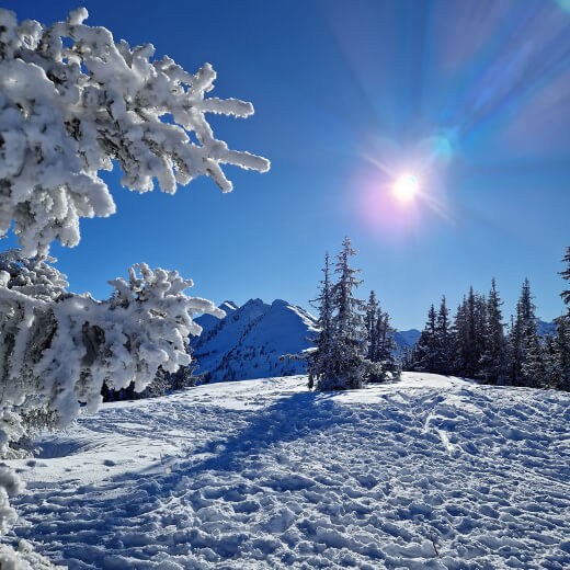 Skiurlaub und Winteraktivitäten